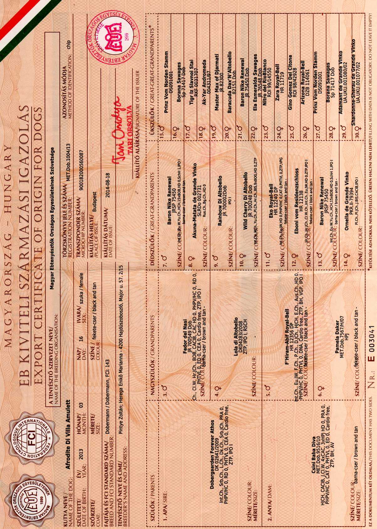 Afrodité export pedigree 1